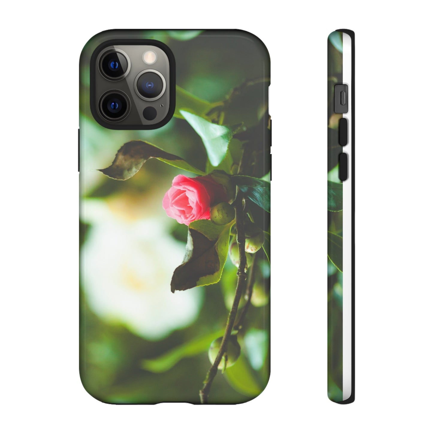 A Pink Rose in Bloom - Phone Case