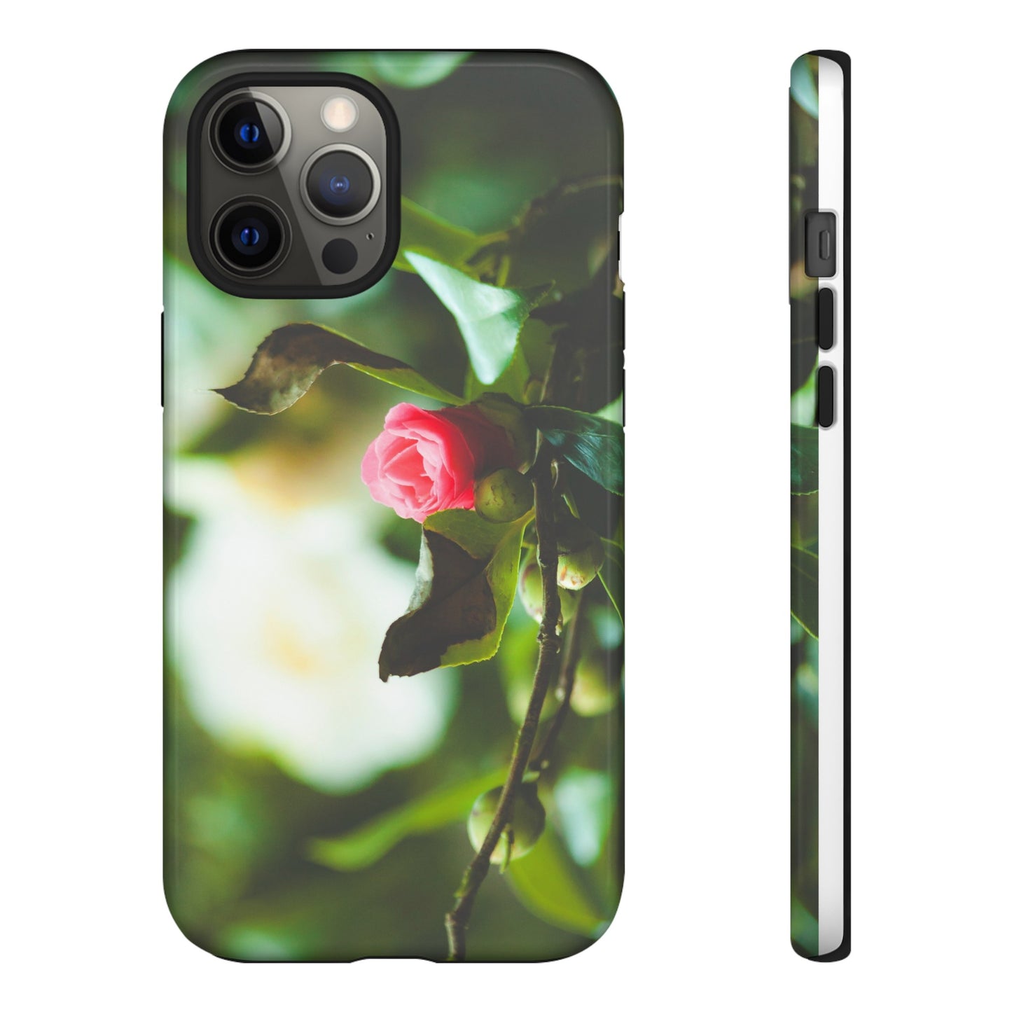 A Pink Rose in Bloom - Phone Case