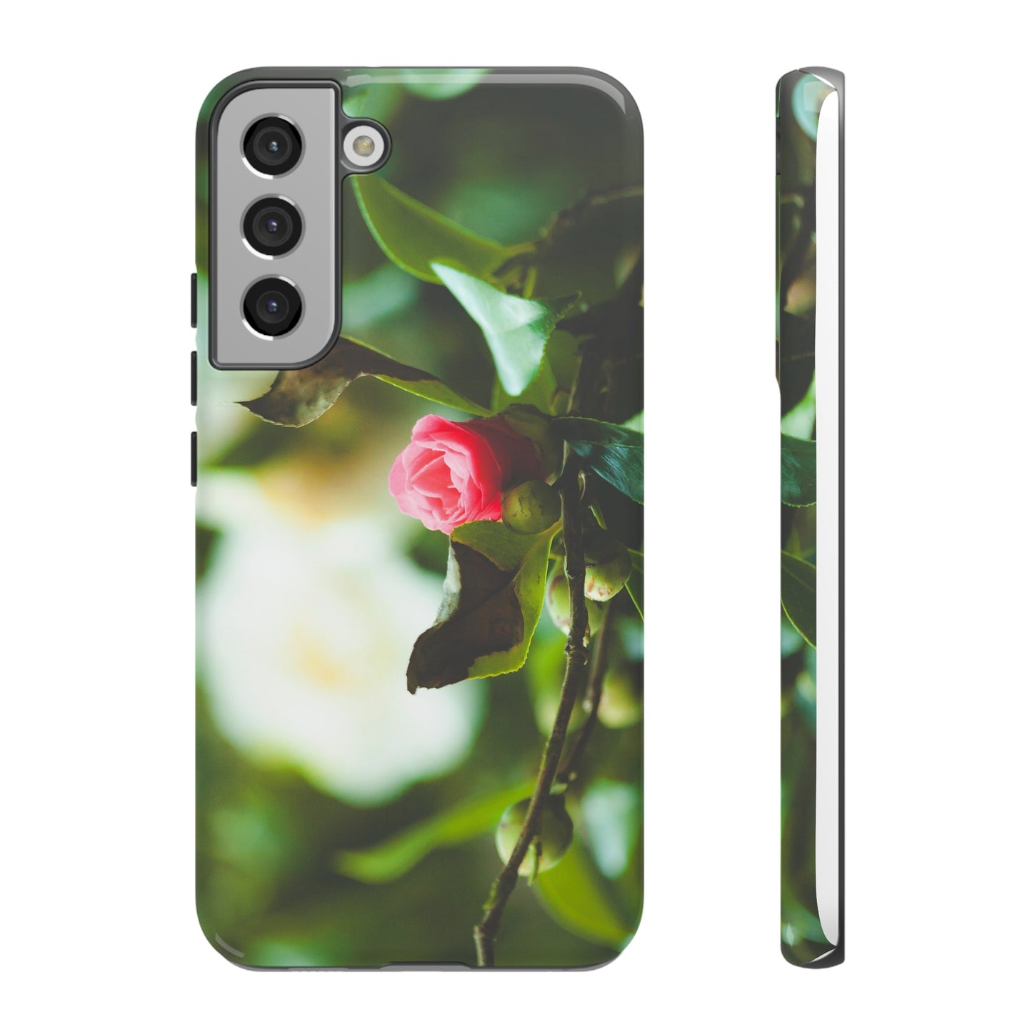 A Pink Rose in Bloom - Phone Case