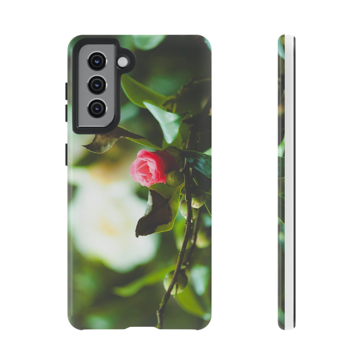 A Pink Rose in Bloom - Phone Case