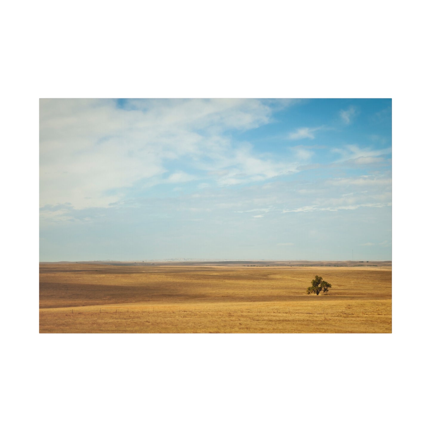 Lonely Tree in the Plains - Canvas