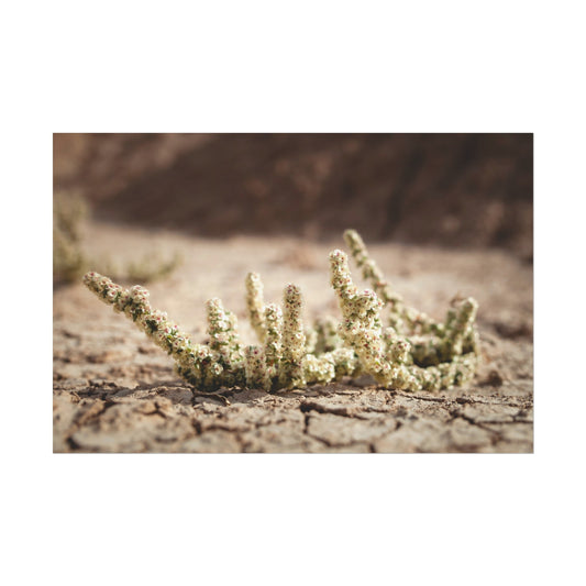 Resilient Life in the Badlands - Poster