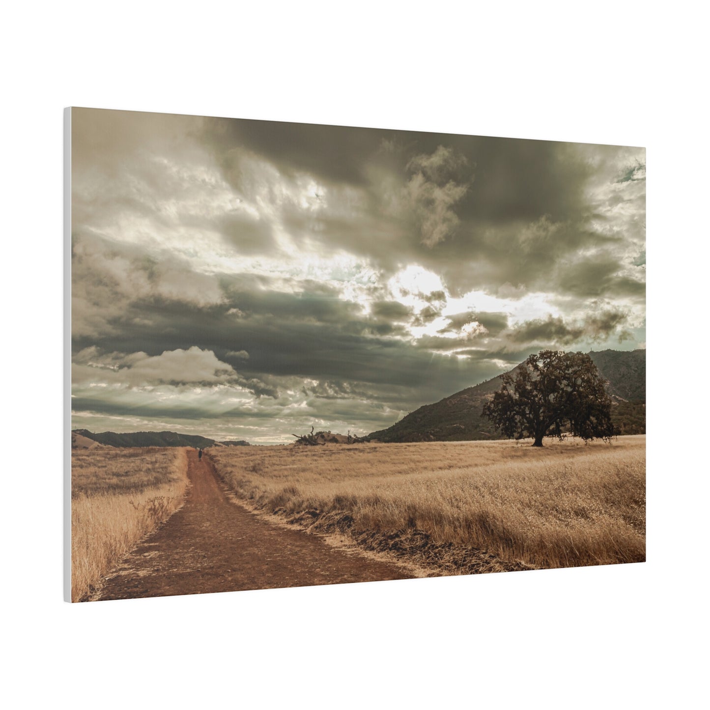 Walk the Unbeaten Path - Canvas