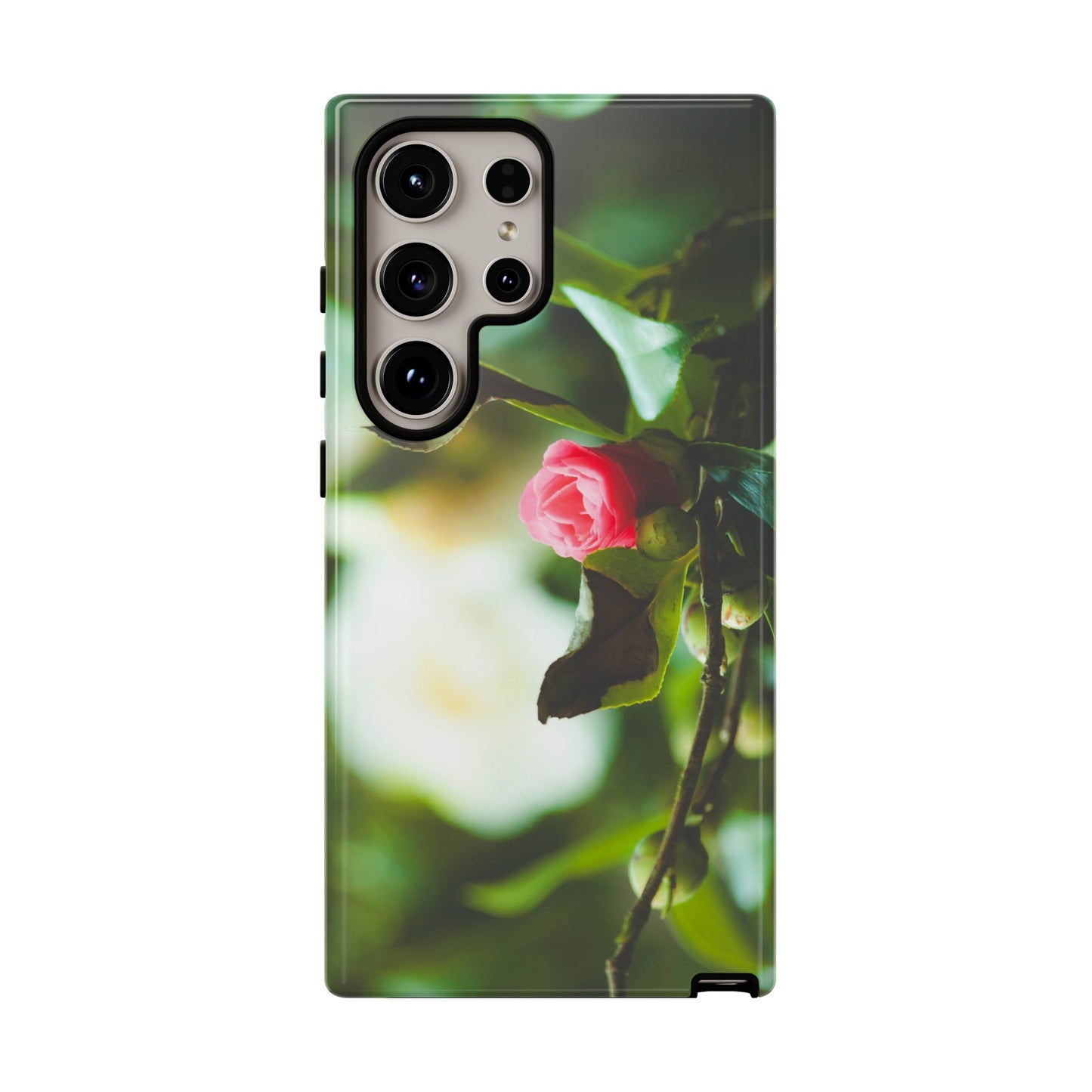 A Pink Rose in Bloom - Phone Case