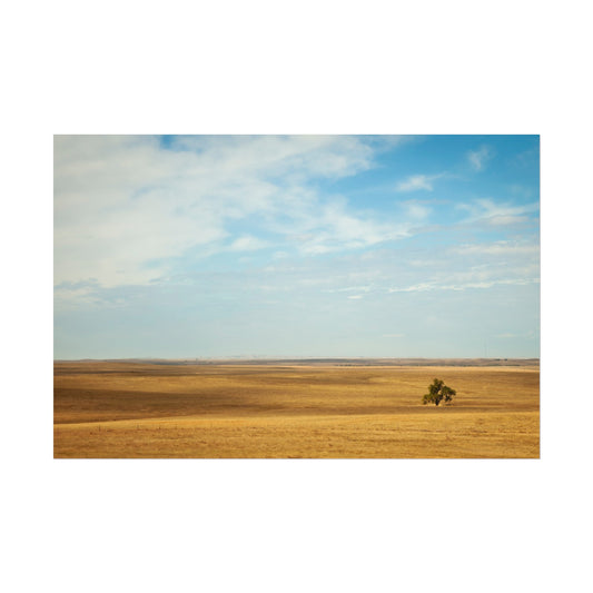 Lonely Tree in the Plains - Poster