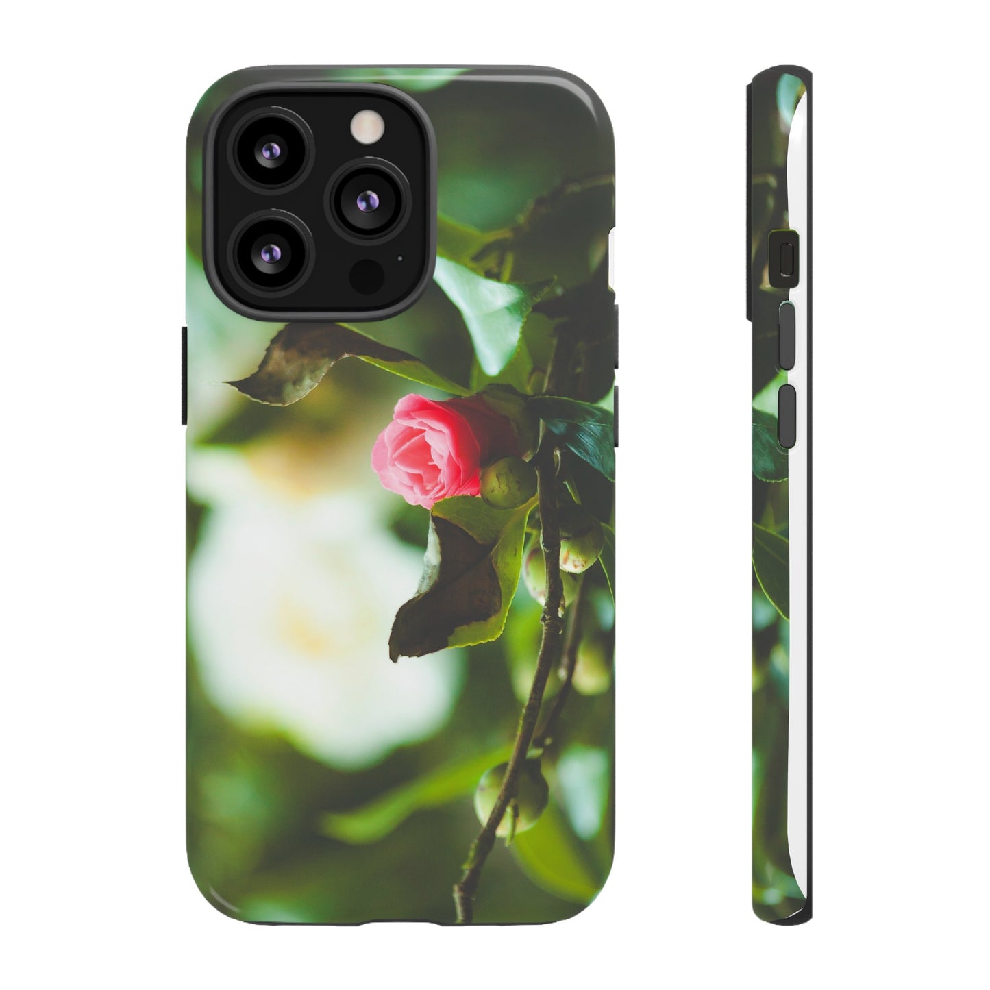 A Pink Rose in Bloom - Phone Case