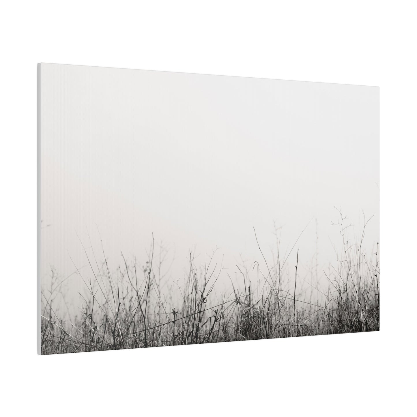 Tall Grass - Canvas