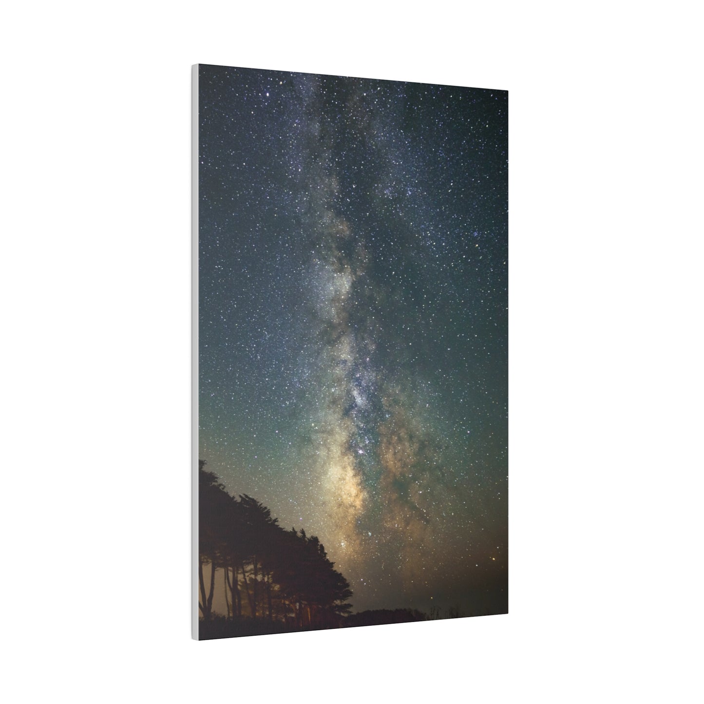 Starry Sea Ranch Night - Canvas