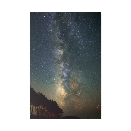 Starry Sea Ranch Night - Canvas