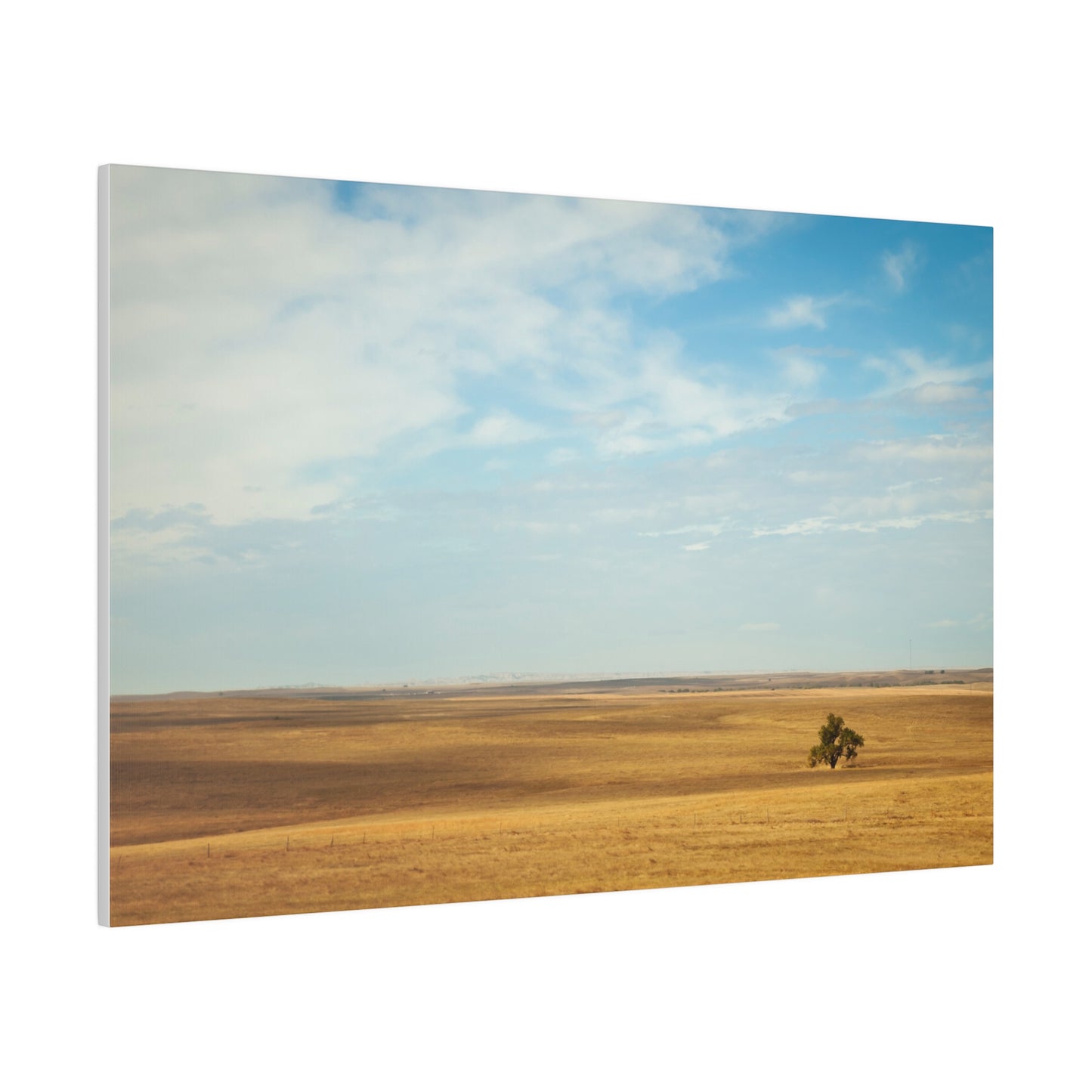 Lonely Tree in the Plains - Canvas