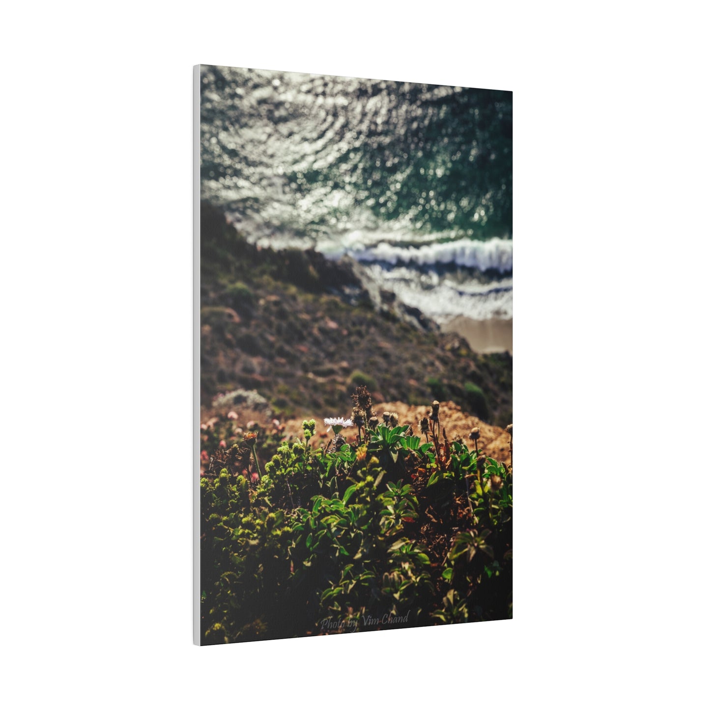 A Cliffside Vista - Canvas