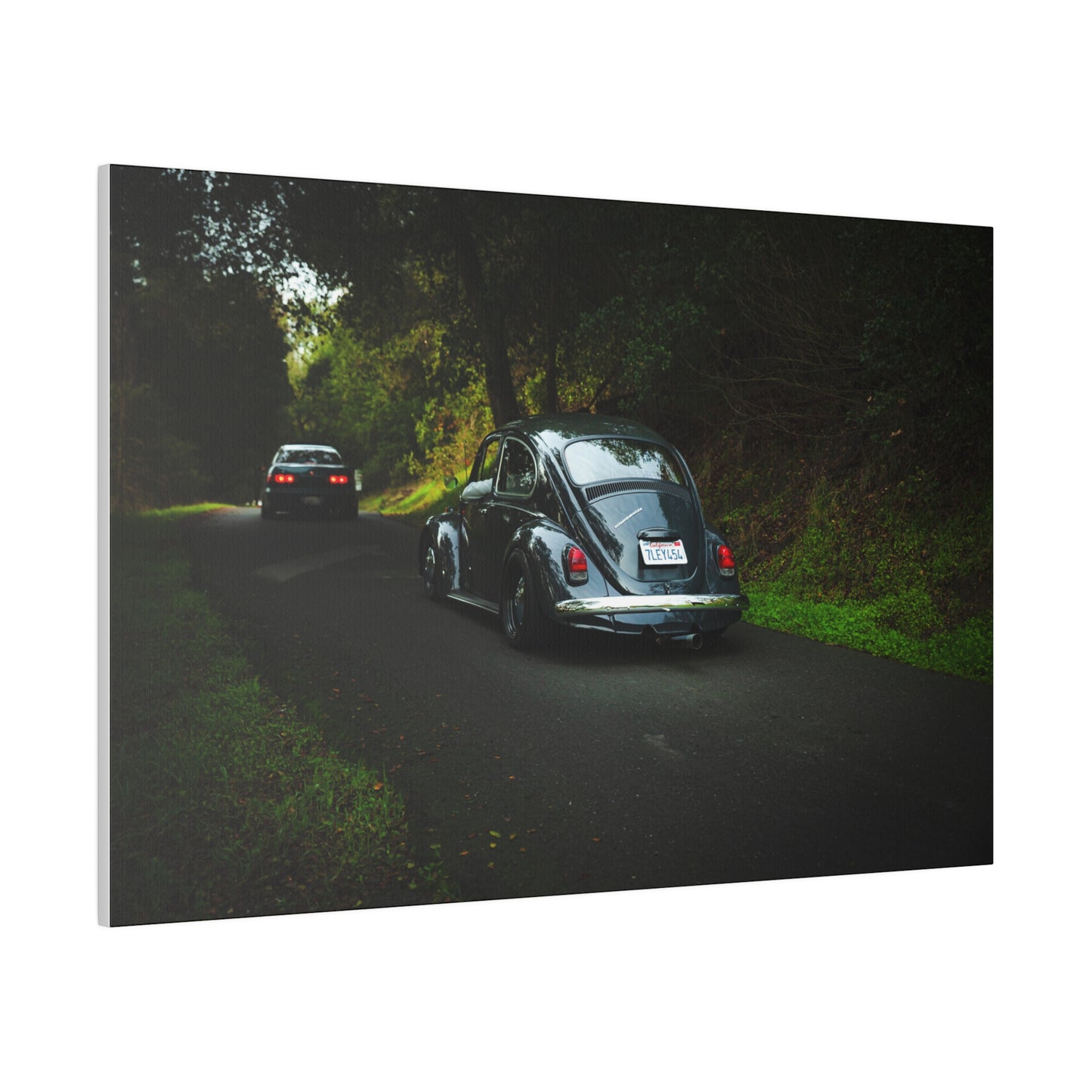 Beetle Mania - Canvas