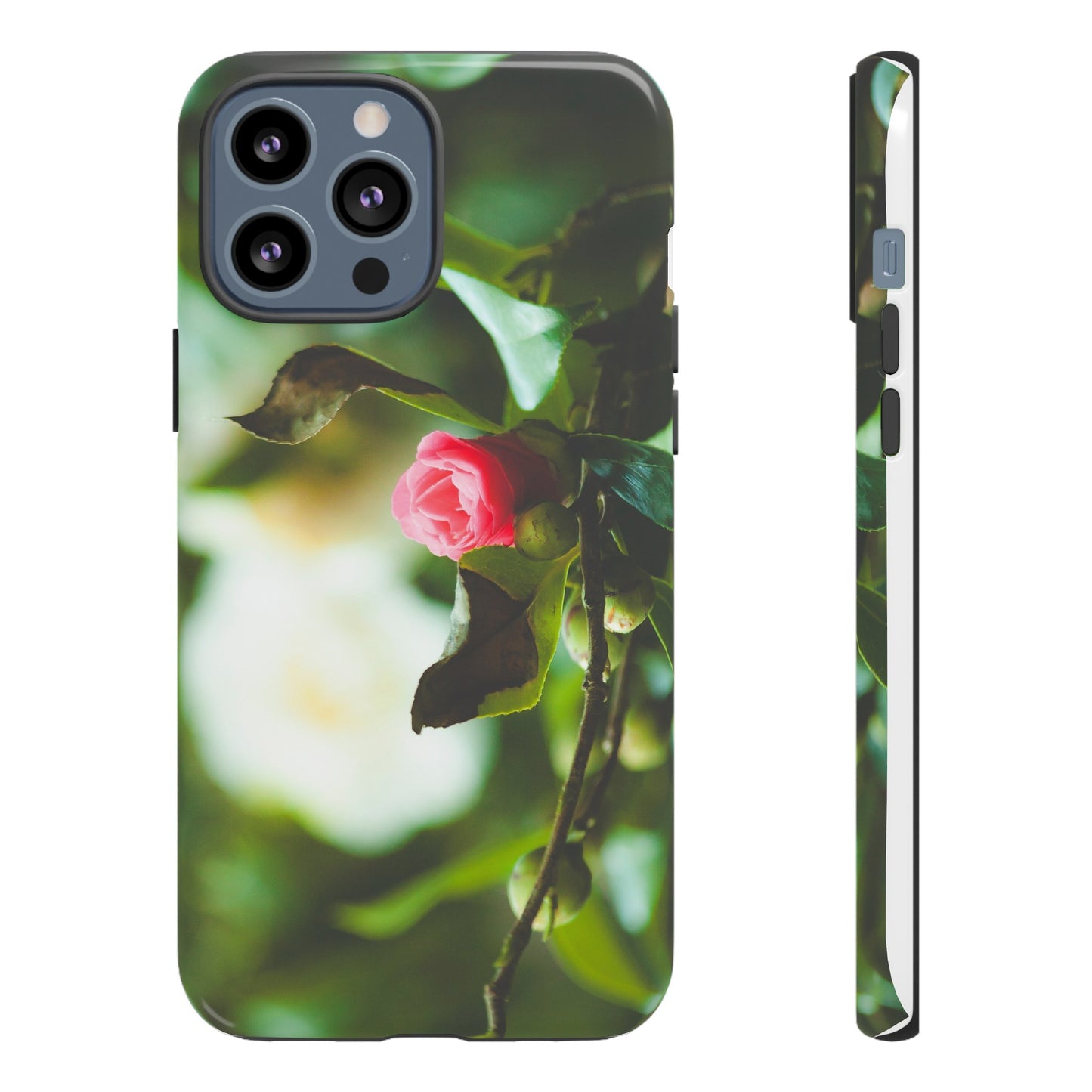 A Pink Rose in Bloom - Phone Case